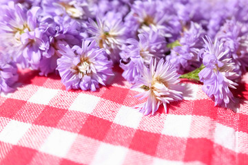 Purple Marguerite Daisy flowers on red checkered tablecloth background.Ultra violet for 2018.Copy space.