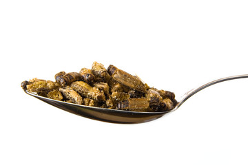 A handful of fried grasshoppers with soy sauce lies on a spoon.