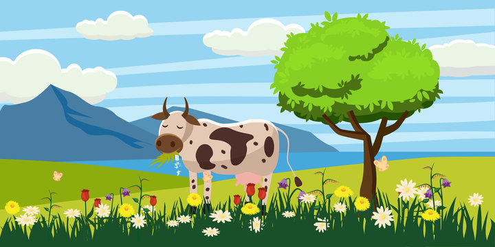 A cow grazes in a meadow eating grass in a landscape, Cartoon style, vector illustration
