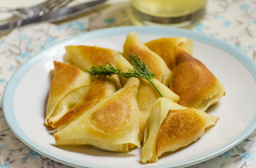 triangles with meat