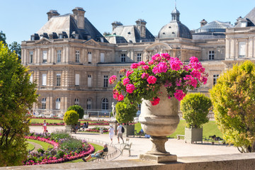 Fototapeta na wymiar The Parisian citylandscape - view of the Luxembourg Palace through flowerpot with flowers, Paris, France