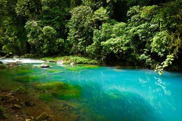 emerald green rio celeste river at Tenorio national Park, Alajuela, Costa Rica
