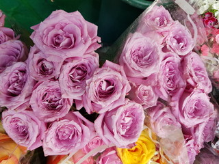 roses