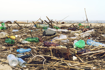 Obraz premium Spilled garbage on the beach of the big city. Empty used dirty plastic bottles. Dirty sea sandy shore of the Black Sea. Environmental pollution. Ecological problem
