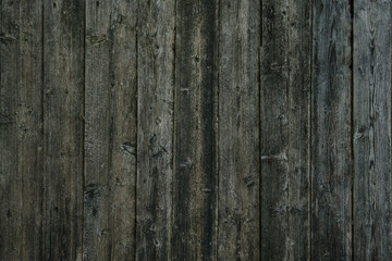 Close up of green wooden fence panels