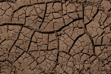 Dry land. Cracked ground background