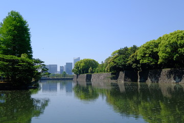 Fototapeta na wymiar 皇居大手門からの風景