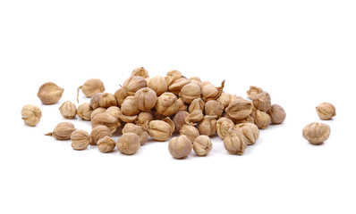 Siam Cardamom isolated on white background.