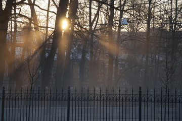 sunrise in park