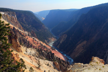 Grand View Overlook of Grand Canyon in Yellowstone NP, USA 