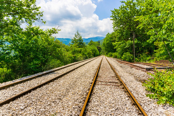Fototapeta premium An old railway track near Asopos old railway station at national park of Oiti in Central Greece