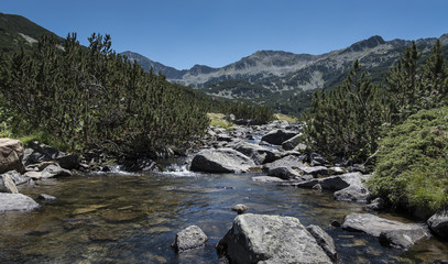 Mountain river on Pirin Mountain, Bulgaria