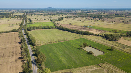 Aerial view of  agricultural area and farming in Thailand