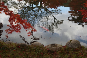 紅葉と晩秋の池