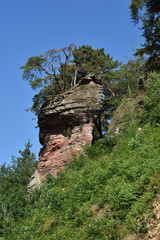 Buntsandsteinformation im Dahner Felsenland; Rheinland Pfalz; Deutschland
