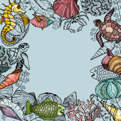 Ocean life background with shells, fish, corals, and turtle. Sea life organisms