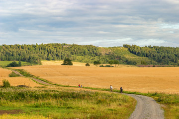 Obraz premium Gravel road with cyclists in a rural landscape