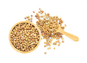 Job's tears whole unpolished grains isolated on white background