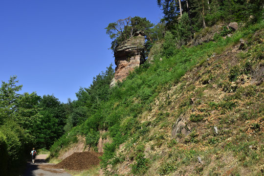 Dahner Felsenpfad; Suedwestpfalz;