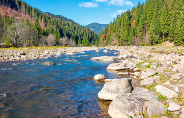 wild mountain river with rocky shore. lovely autumn scenery of Carpathian nature among the ancient...