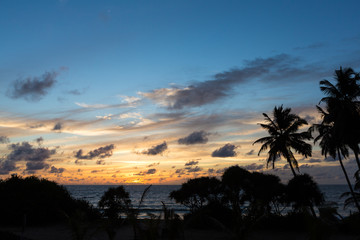 Fototapeta premium Sri Lanka paradise beach with white sand, Palm trees and a scenic sunset