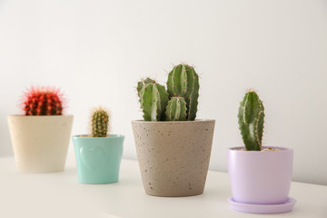 Beautiful cacti in flowerpots on white table indoors