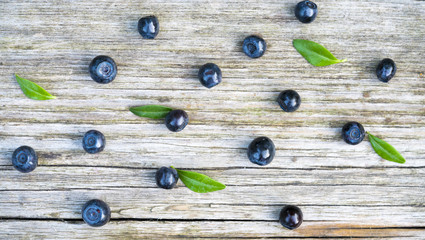 Blueberries in the foreground on tree