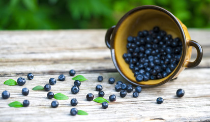 .blueberries on a wooden background