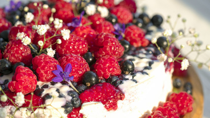 fruit cheese cake