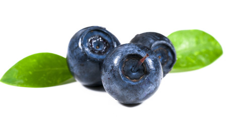 .blueberries on white background