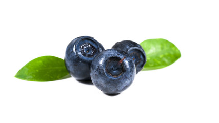 .blueberries on white background