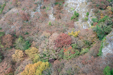 小豆島の寒霞渓の紅葉（香川県、日本）