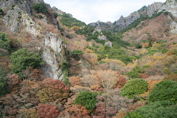 Fototapeta na wymiar 小豆島の寒霞渓の紅葉（香川県、日本）
