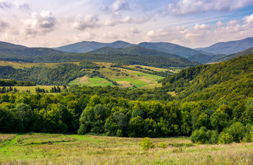 Obraz premium agricultural fields on grassy hills in mountains. beautiful rural landscape of Carpathians
