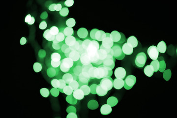 beautiful shiny defocused green bokeh on black background