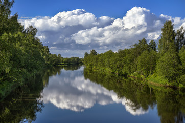 Summer landscape with river and forest