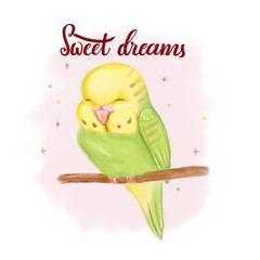 Sleeping baby parrot with hand drawn lettering Sweet dreams illustration for pet shop, exhibition, event for babies or pets, kid club or children