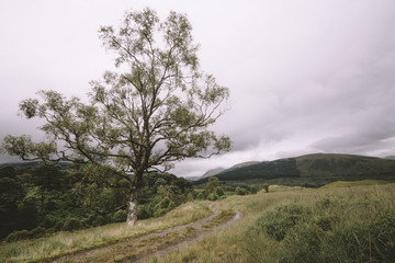 Obraz premium szkodzkie wzgórza