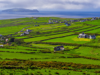 Obraz premium Beautiful nature and greens at Dingle Peninsula Ireland