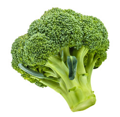 broccoli isolated on white without shadow