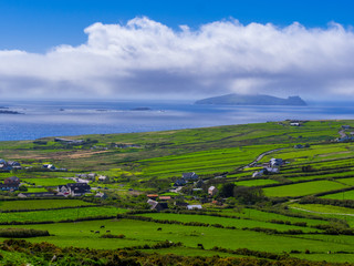 Beautiful nature and greens at Dingle Peninsula Ireland