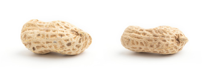 Peanuts isolated on white background.
