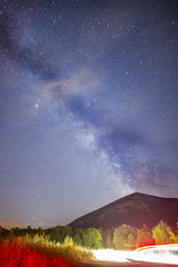 Pine trees silhouette Milky Way dark sky