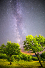 Green plum trees Milky way night sky
