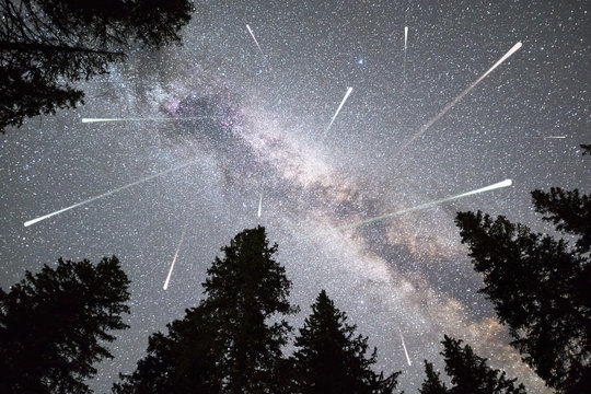 Pine trees silhouette Milky Way falling stars © Belish