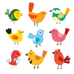 birds character vector design