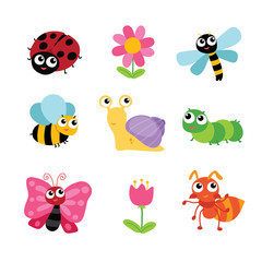 insects character design