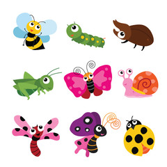 insects character design