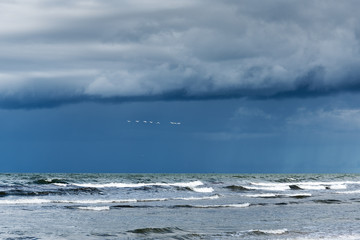 Windy day by Baltic sea, Liepaja, Latvia.