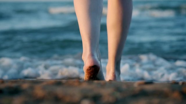 SLOW MOTION, CLOSE UP: Female or girl feet step on yellow sand from seashells, go into the sea. The girl plunges into the water, walks on foot. Evening at sunset.